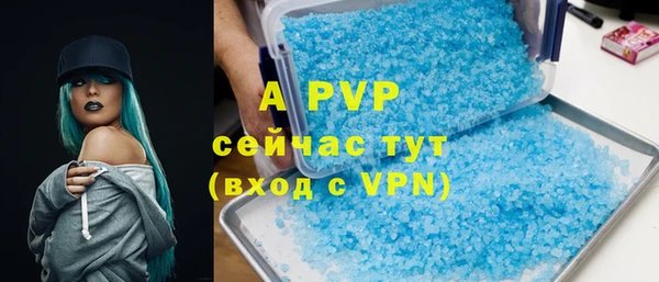 хмурый Пестово