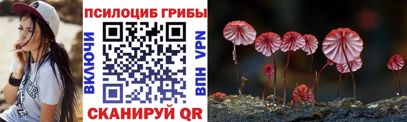 MEGA рабочий сайт  Камбарка  Псилоцибиновые грибы Psilocybe 